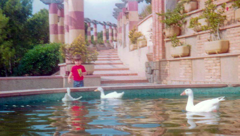 Los patos del Castillo de los Patos cuando había patos en el castillo.