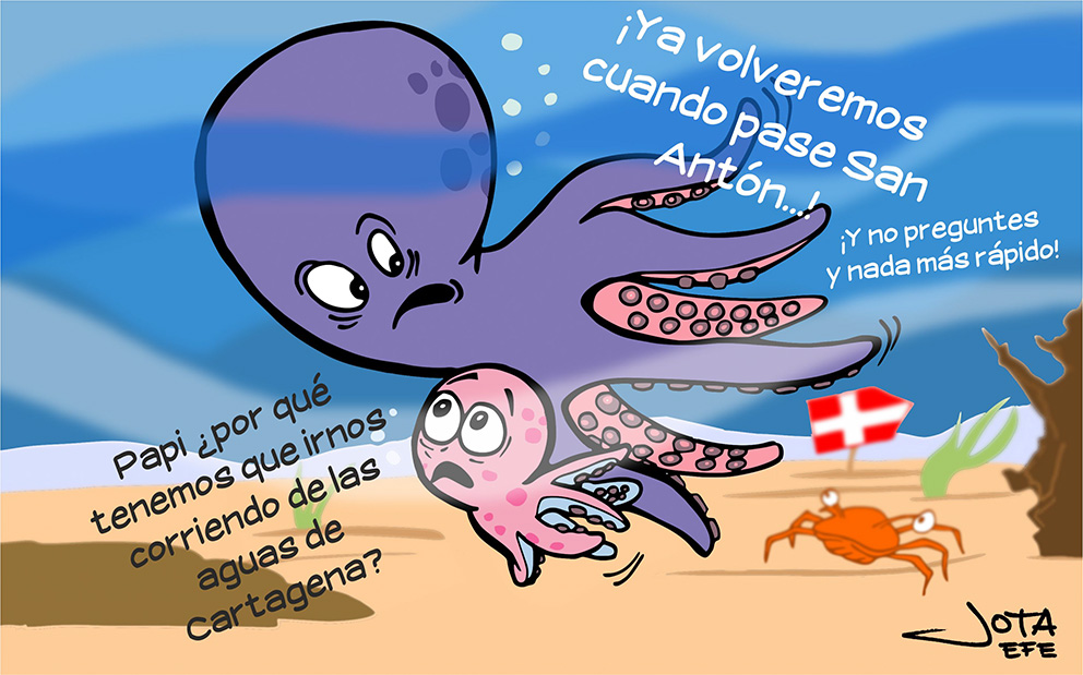 pulpicos-por-san-anton